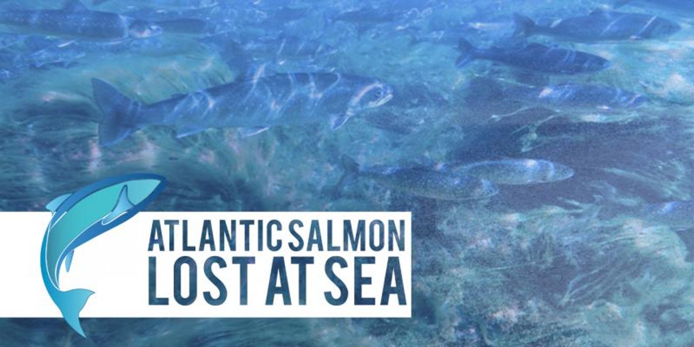 Poetry, Barney Rosset Documentary and Atlantic Salmon Highlight Irish Rep's 2017 Special Events  Image