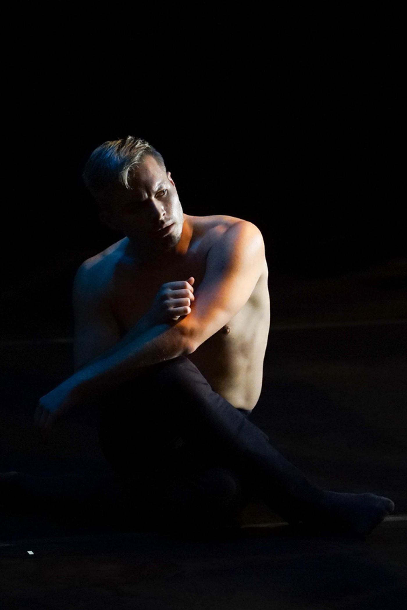 Photo Flash: Joshua Beamish and Company Celebrate Premiere of SAUDADE Photo Flash: Joshua Beamish and Company Celebrate Premiere of SAUDADE Image