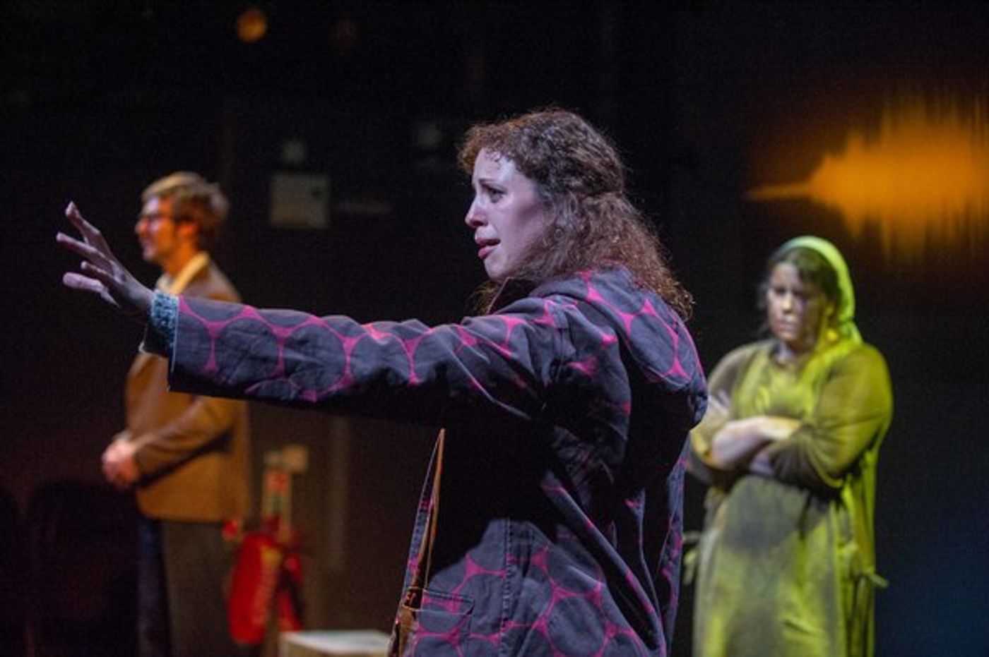 Photo Flash: First Look at FISHSKIN TROUSERS at the Park Theatre  Image