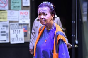 Lizan Mitchell @ BroadwayWorld Lizan Mitchell Photo