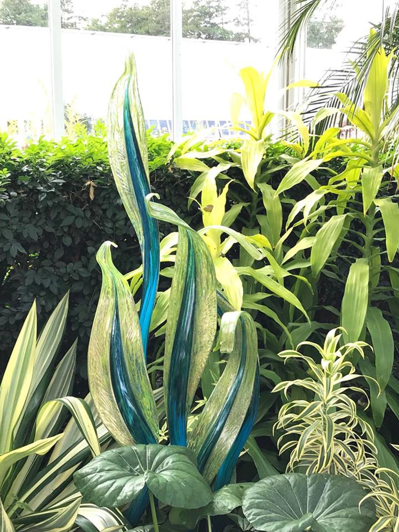 Great Grass and Glass in the Bronx: The New York Botanical Garden and Chihuly Image