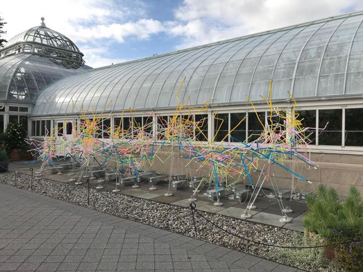 Great Grass and Glass in the Bronx: The New York Botanical Garden and Chihuly Image