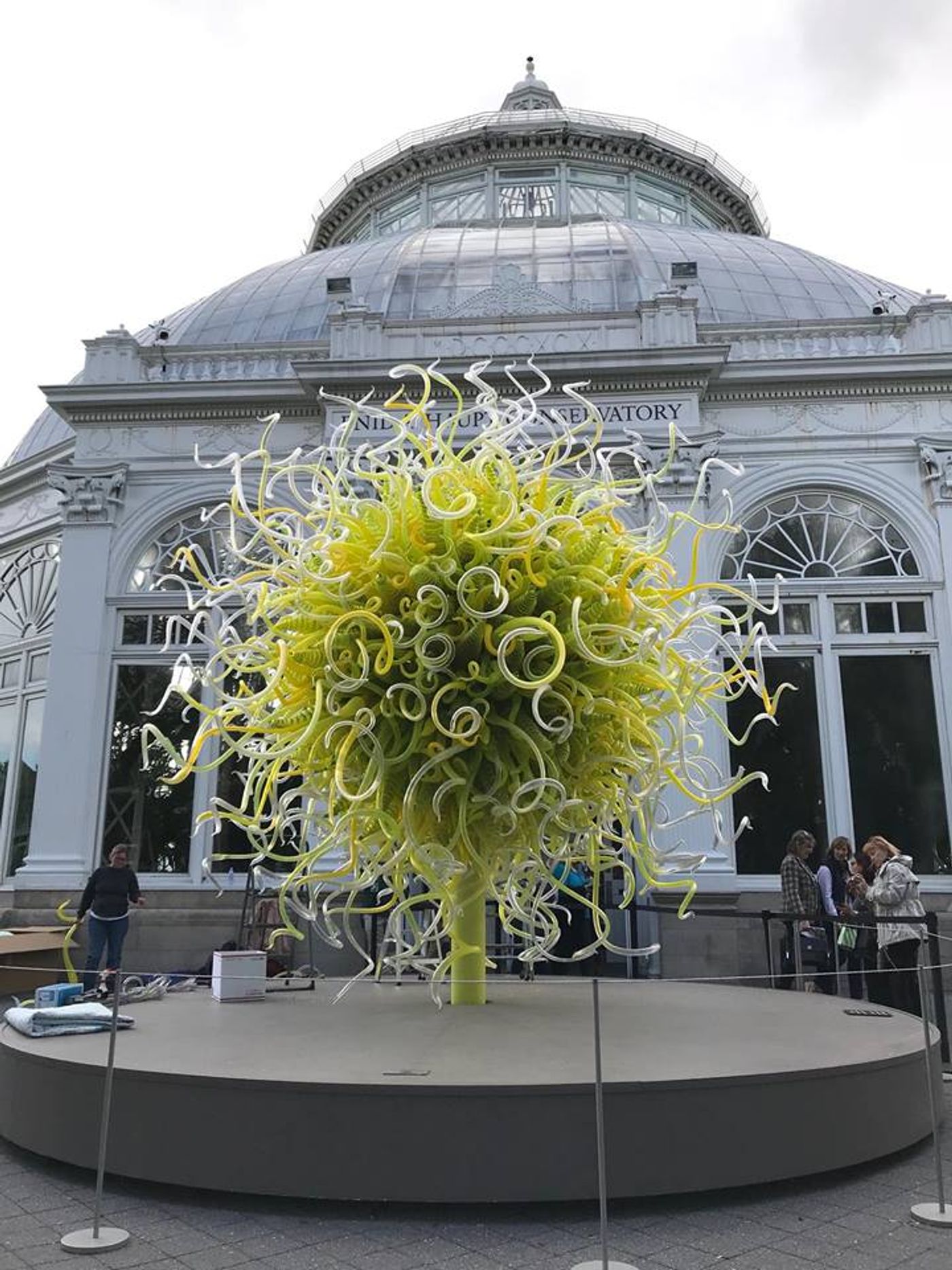 Great Grass and Glass in the Bronx: The New York Botanical Garden and Chihuly Image