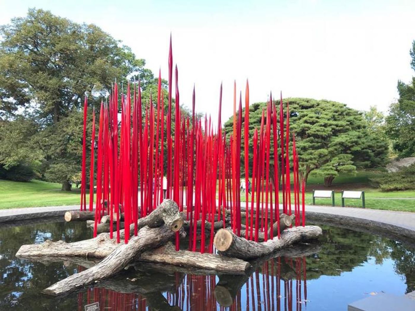 Great Grass and Glass in the Bronx: The New York Botanical Garden and Chihuly Image