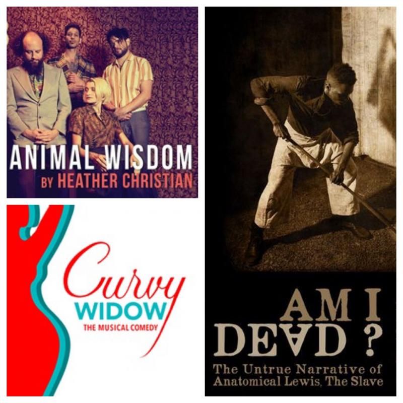 The Maxamoo Podcast Reviews CURVY WIDOW, AM I DEAD?, and ANIMAL WISDOM  Image