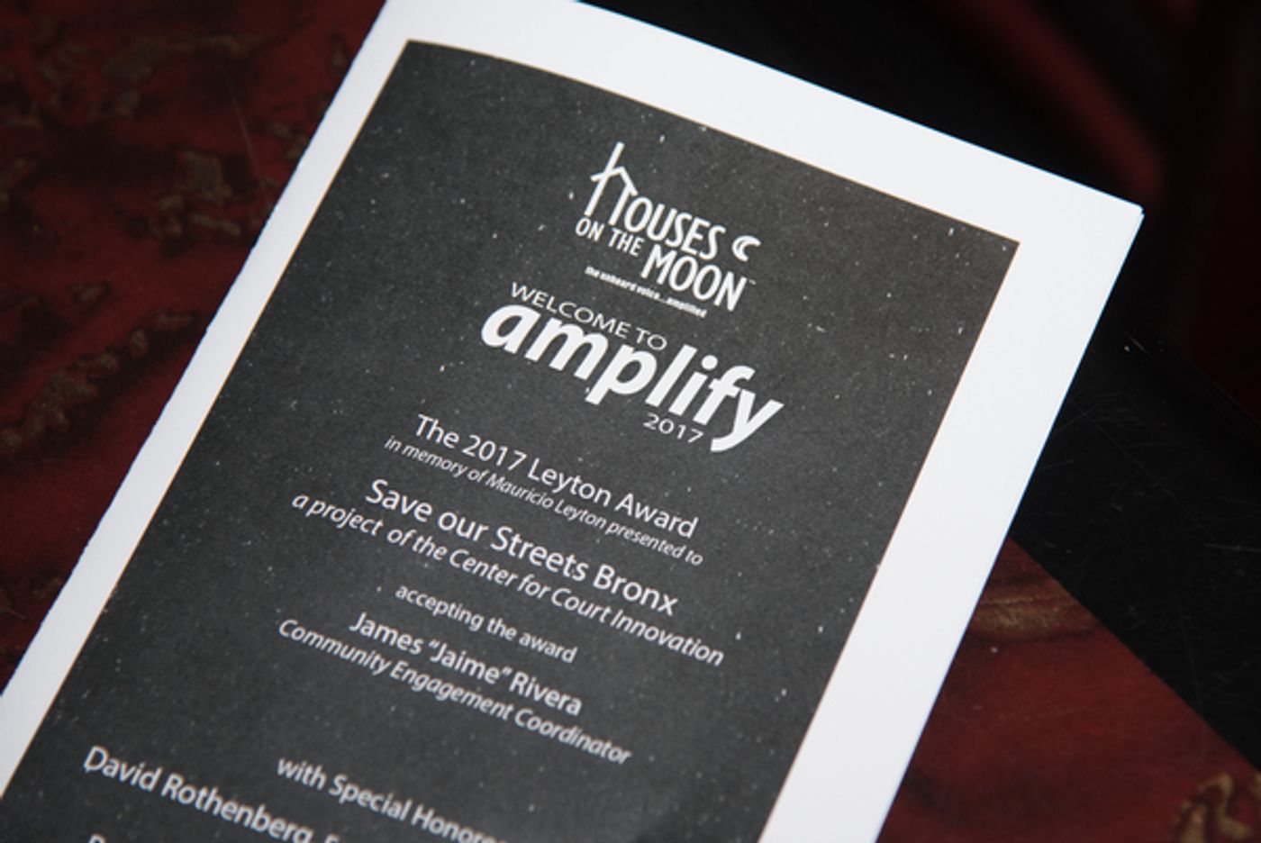 Photo Flash: R. Erin Craig and David Rothenberg Honored at Houses on the Moon Theater Company's AMPLIFY 2017 Benefit  Image