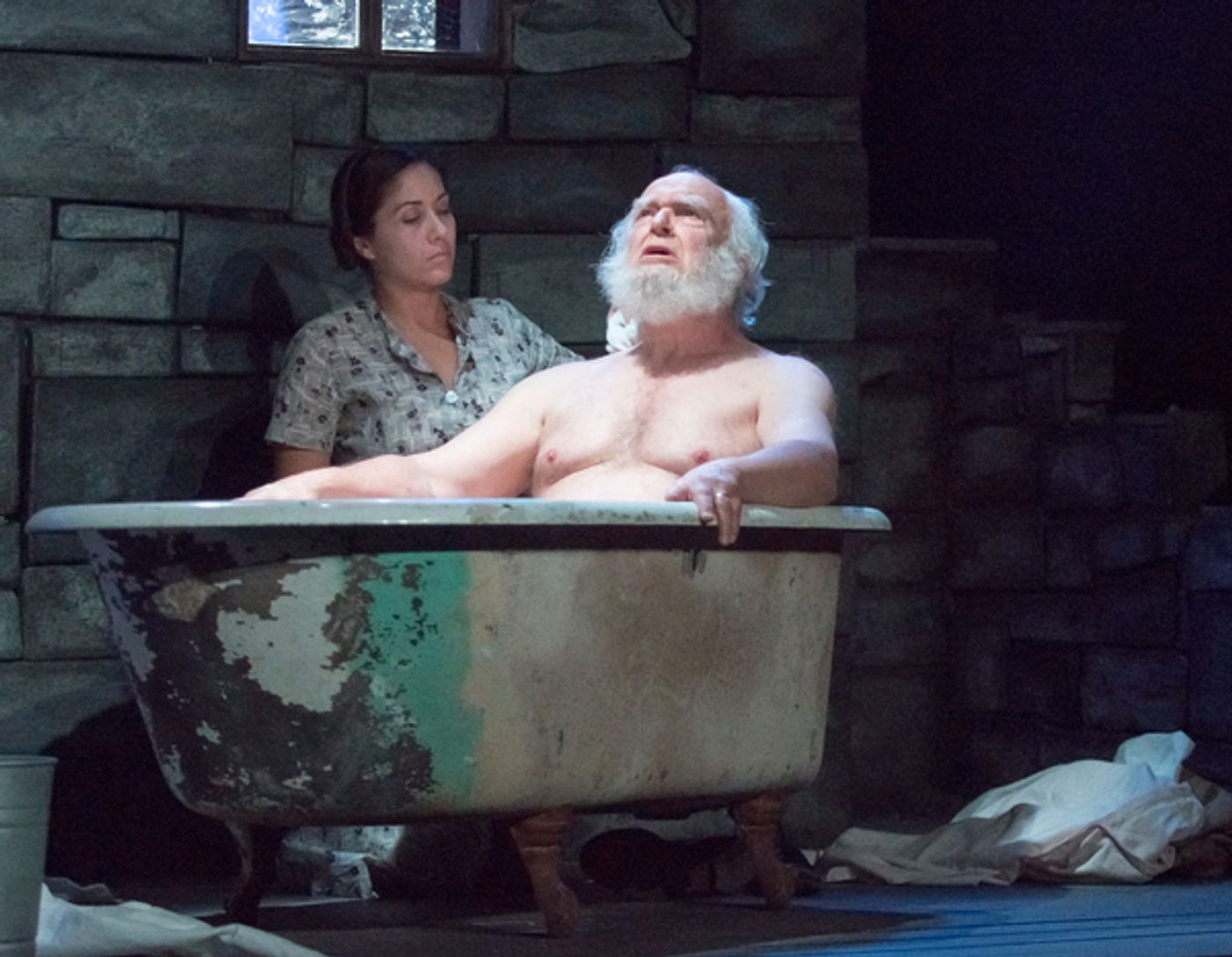 Photo Flash: First Look at DESIRE UNDER THE ELMS at Firehouse Theatre  Image