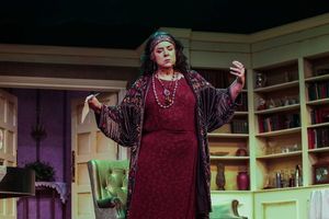 Dana Messina Galagan @ BroadwayWorld Dana Messina Galagan Photo