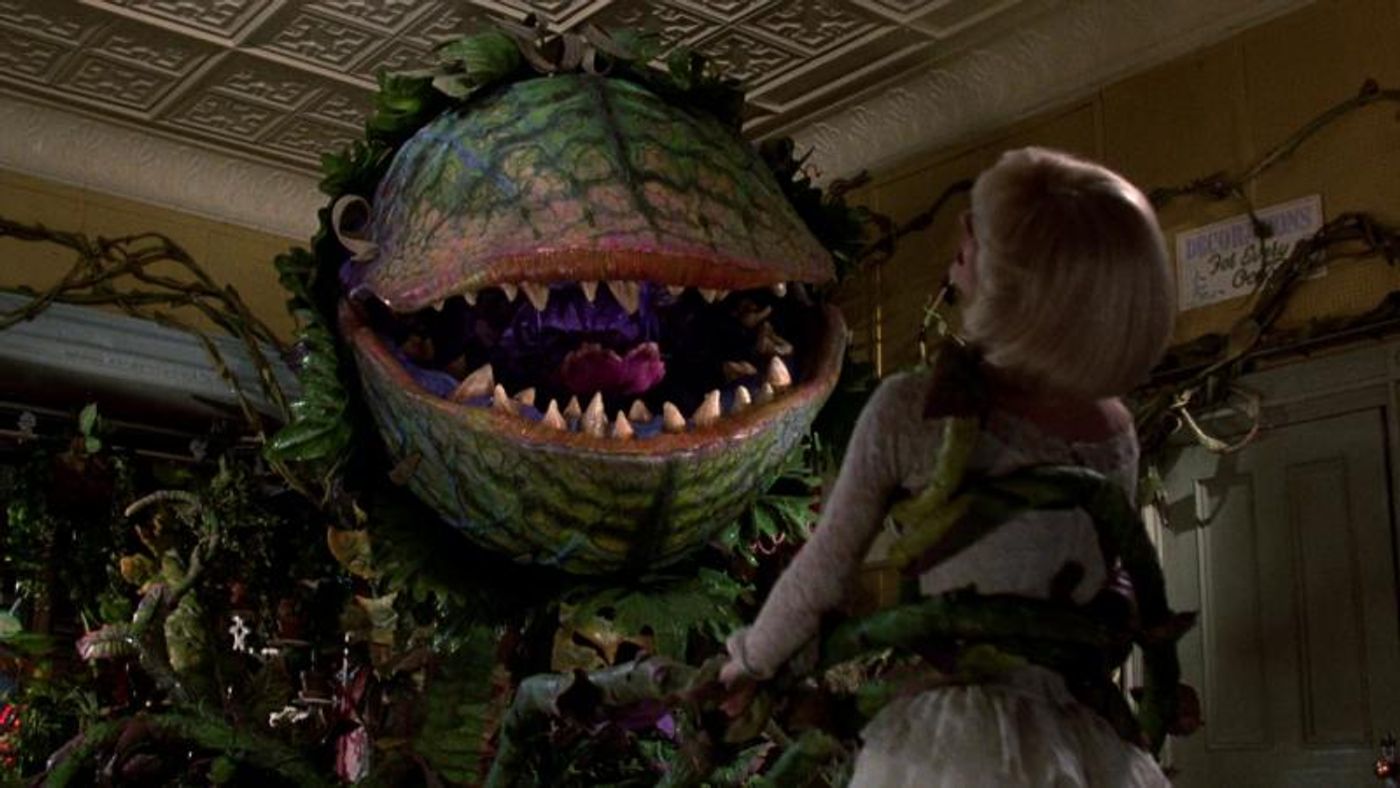 Why LITTLE SHOP OF HORRORS is Your Halloween Must-See  Image