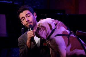 Adam Kantor  Photo