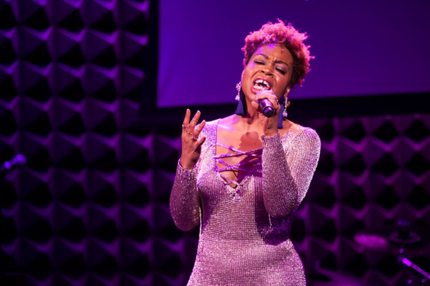 Photo Flash: Lena Hall, Tamika Lawrence, Kate Mulgrew, Alice Ripley and More Take Part in 10th Annual LIVING FOR TODAY Concert  Image