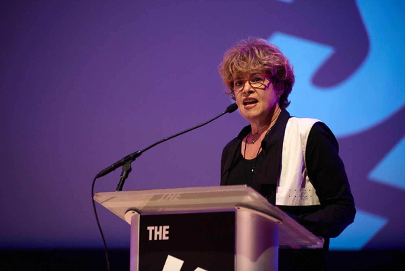 Photo Flash: Gloria Steinem, Judy Chicago and More Attend Brooklyn Museum's 2017 Yes! Gala Photo Flash: Gloria Steinem, Judy Chicago and More Attend Brooklyn Museum's 2017 Yes! Gala Image