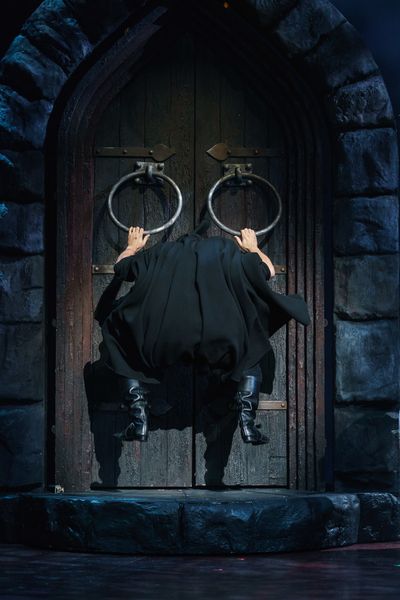 Ross Noble Photo