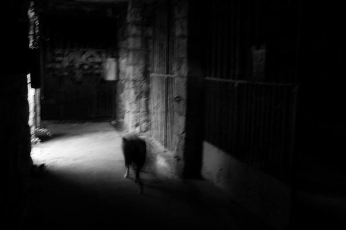 Art Rock Soundscape DIRGE Comes to Alexander Upstairs Image