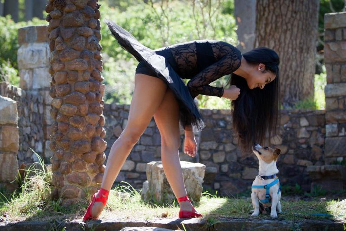 Annual DANCERS LOVE DOGS Onstage at Artscape this November  Image