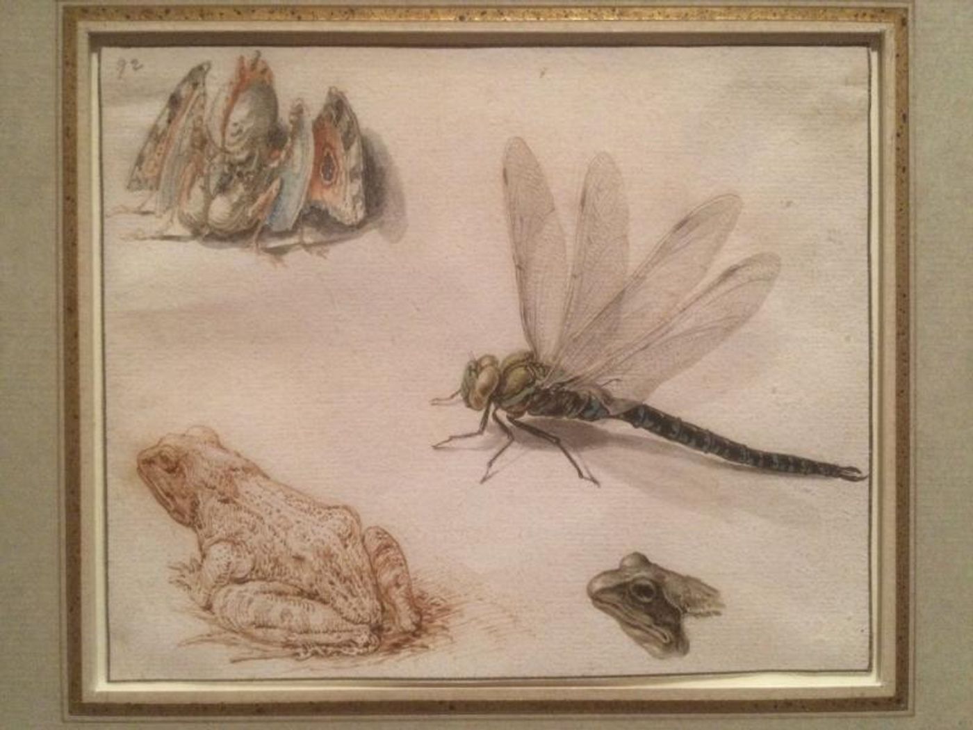 Drawing Upon an Extraordinary Collection at More Than a Library  Image