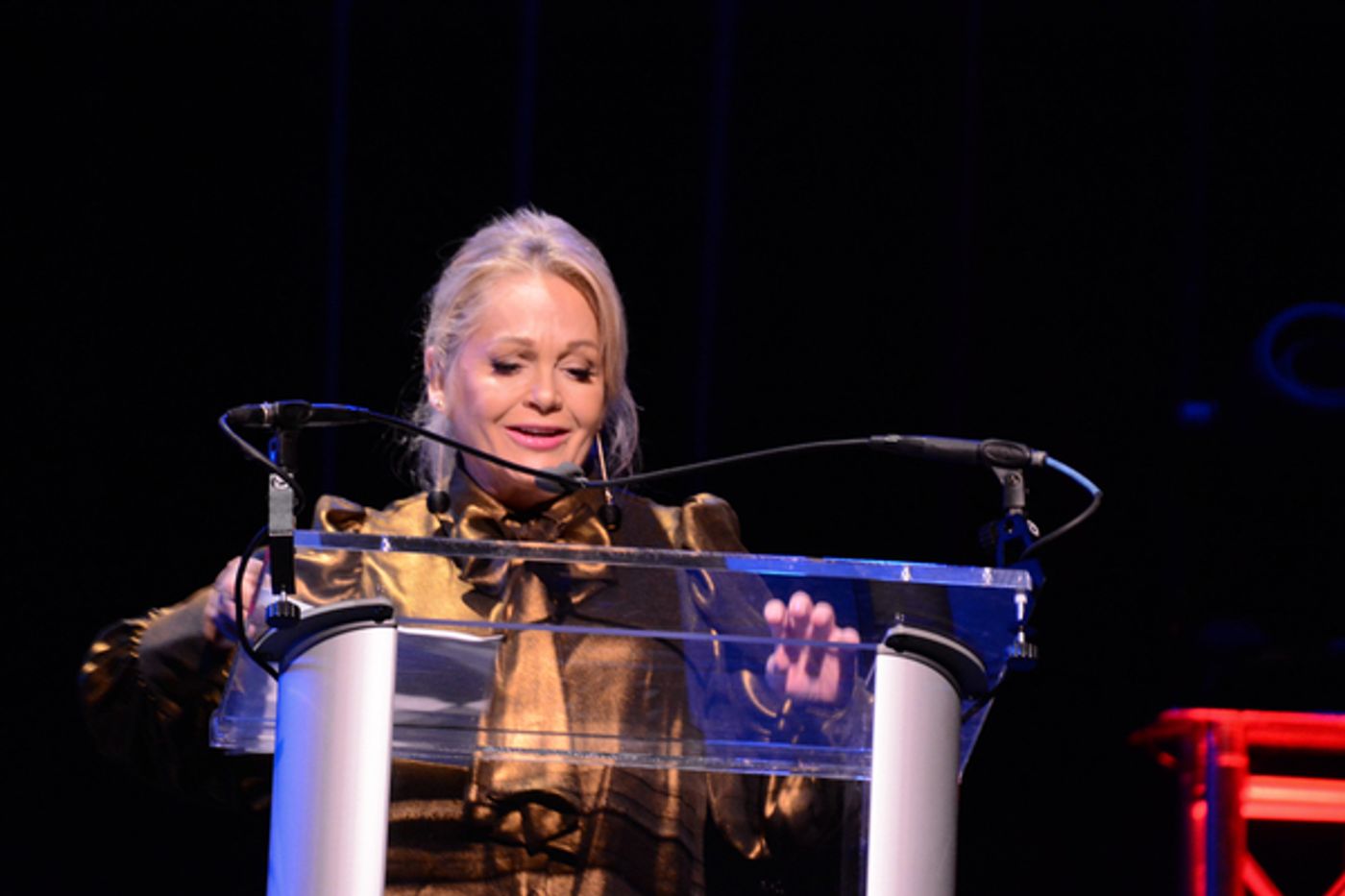 Photo Coverage: Broadway Sings for Foster Kids at VOICES FOR THE VOICELESS  Image
