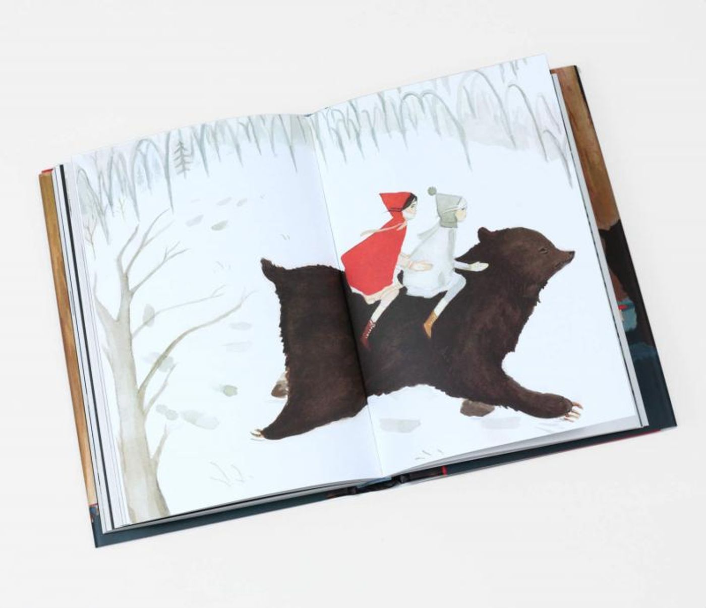 Review: SNOW AND ROSE by Emily Winfield Martin  Image