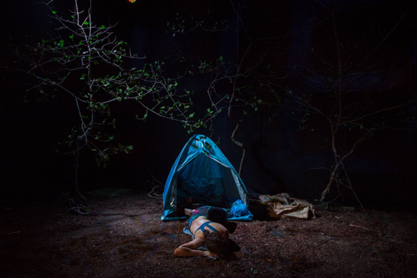 Photo Flash: First Look at Susan Soon He Stanton's SOLSTICE PARTY at A.R.T./New York Theatres  Image