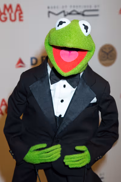 Kermit the Frog Photo