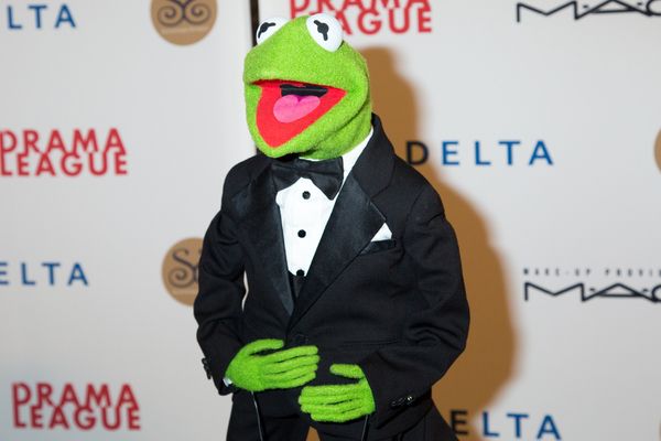 Kermit the Frog Photo