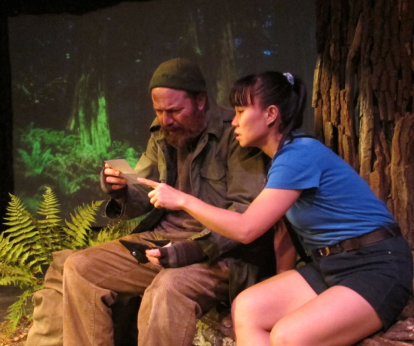 Photo Flash: First Look at REDWOOD CURTAIN at Bridge Street Theatre Photo Flash: First Look at REDWOOD CURTAIN at Bridge Street Theatre Image