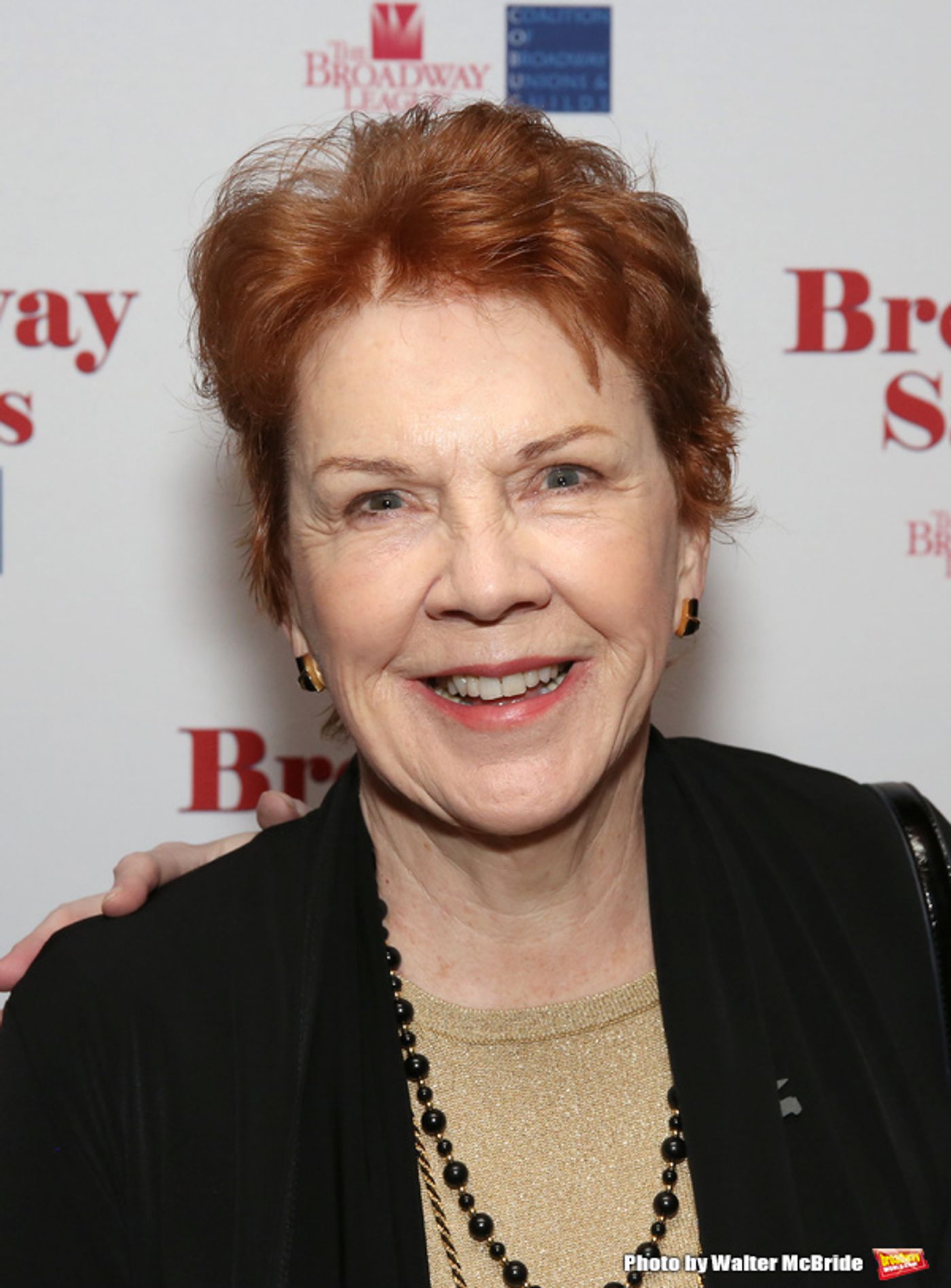 Photo Coverage: David Hyde Pierce Helps Kick Off the 9th Annual Broadway Salutes  Image