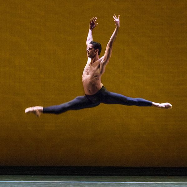 Marcelo Gomes  Photo