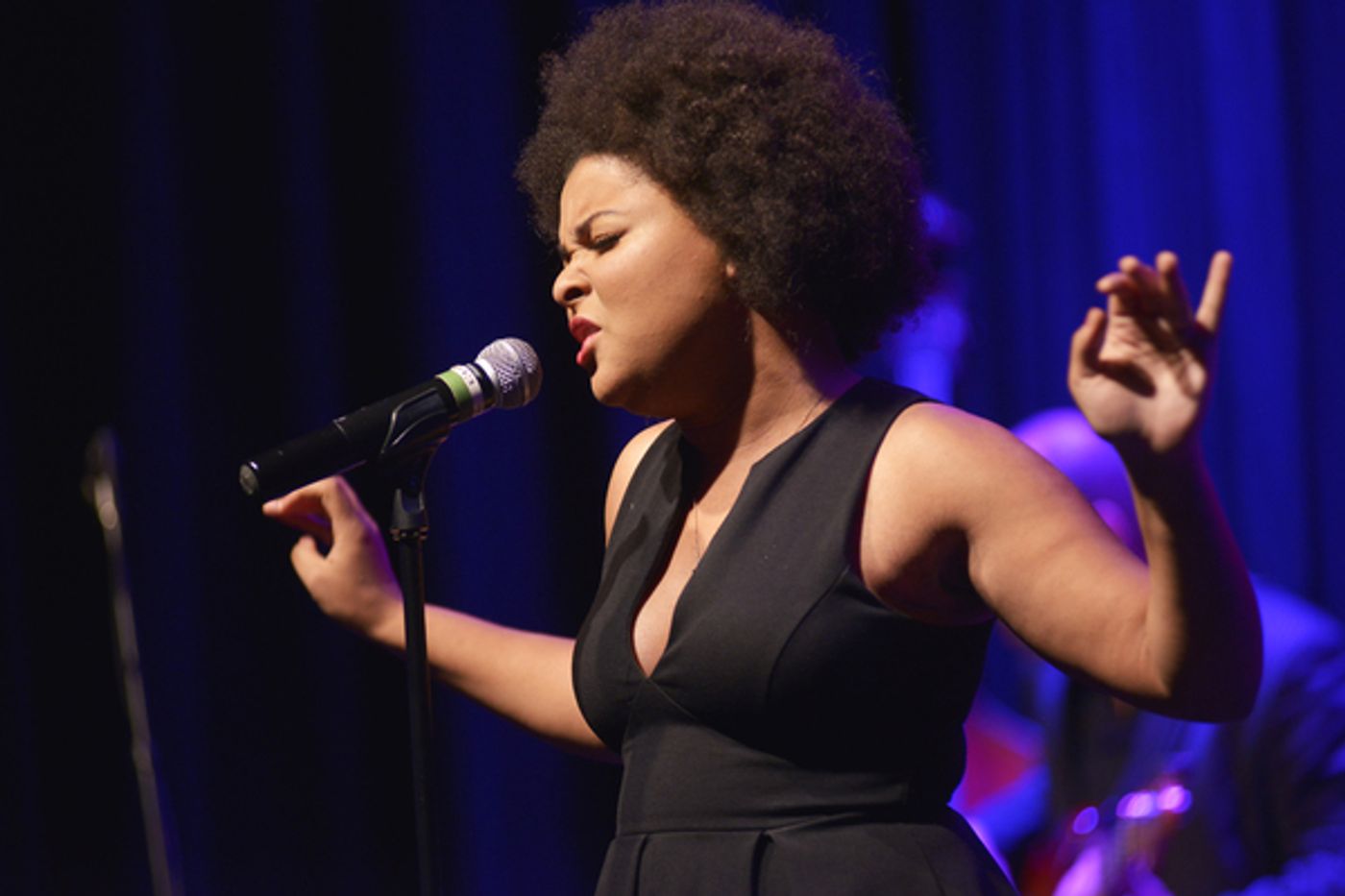 Photo Flash: Jason Robert Brown, Grace McLean, Marsha Norman and More NYMF's 2017 Gala  Image