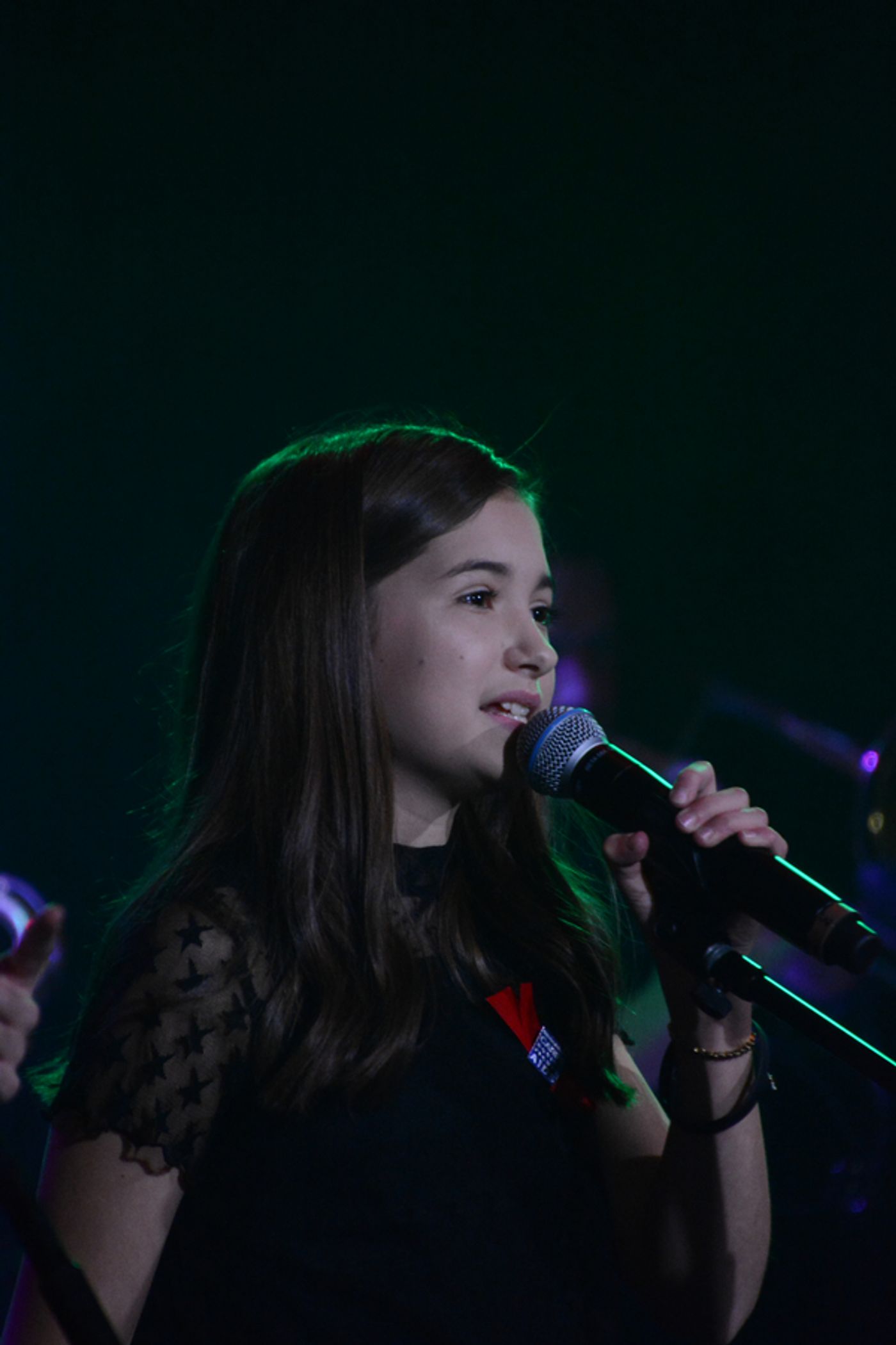 Photo Coverage: Legends Live On at ROCKERS ON BROADWAY, with Michael Cerveris, Lesli Margherita & More!  Image