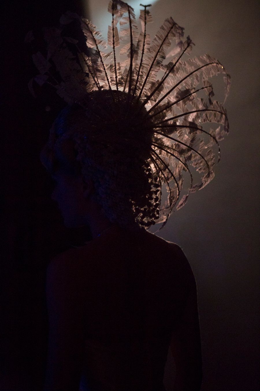 Photo Flash: Behind The Scenes Images Released To Mark Live Cinema Broadcast Of National Theatre Production Of FOLLIES Image