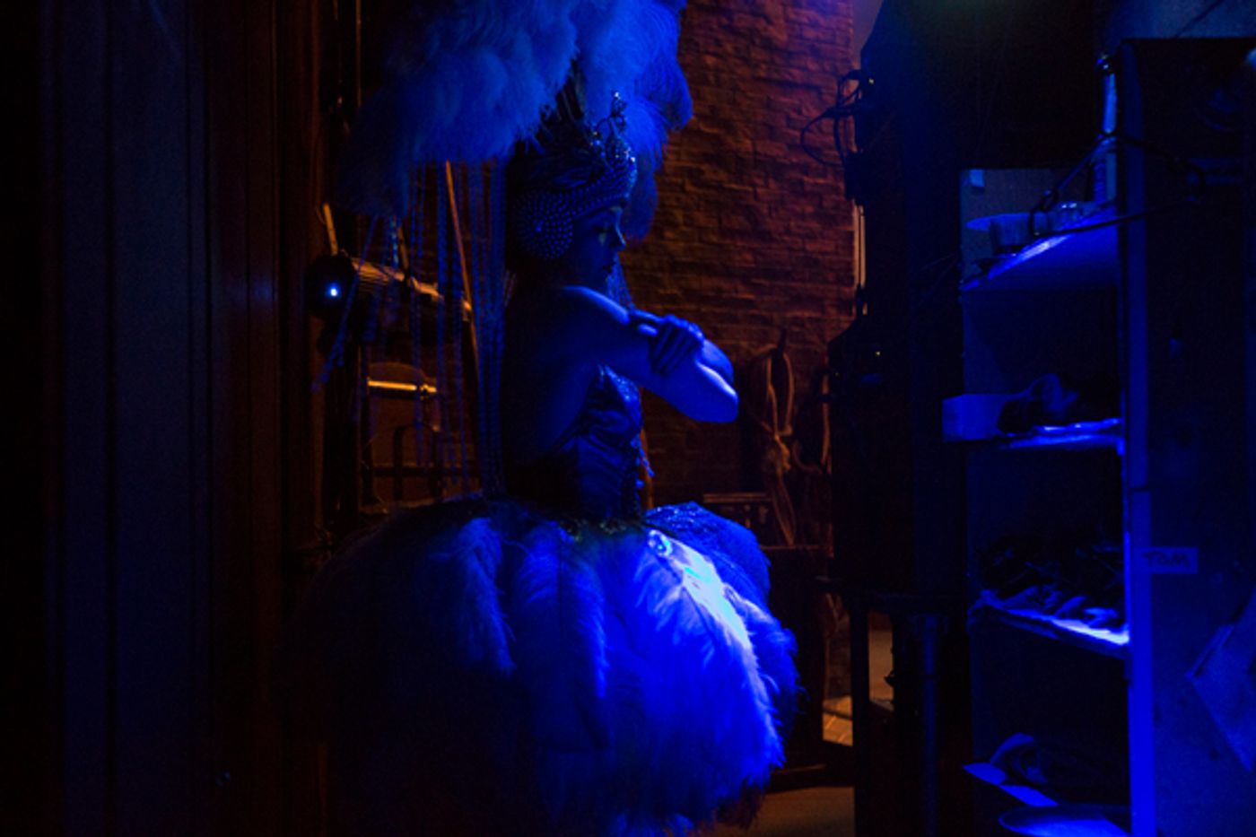 Photo Flash: Behind The Scenes Images Released To Mark Live Cinema Broadcast Of National Theatre Production Of FOLLIES  Image