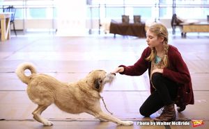 Cassidy Pry @ BroadwayWorld Cassidy Pry Photo