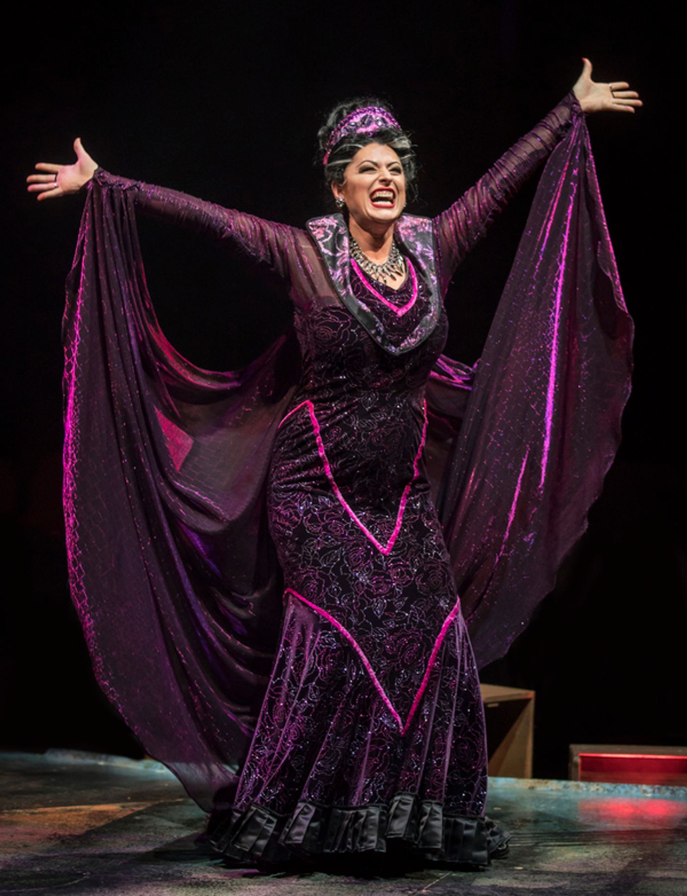 Photo Flash: The Marriott Theatre presents SLEEPING BEAUTY  Image