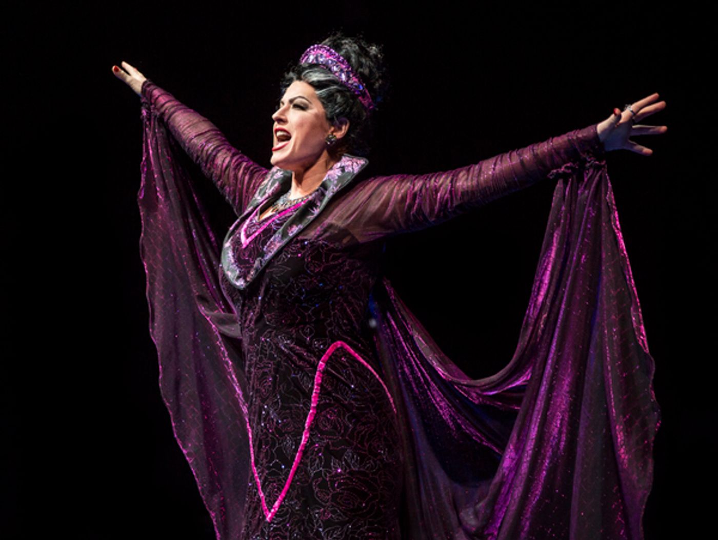 Photo Flash: The Marriott Theatre presents SLEEPING BEAUTY  Image