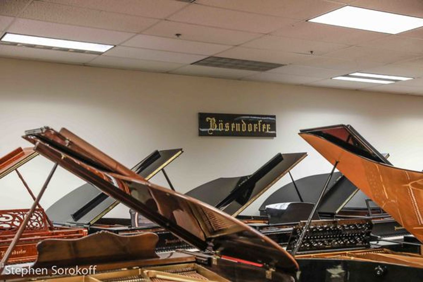 Photo Coverage: Dixie Rascals Sextet Swing at Forte Piano Concert Space  Image