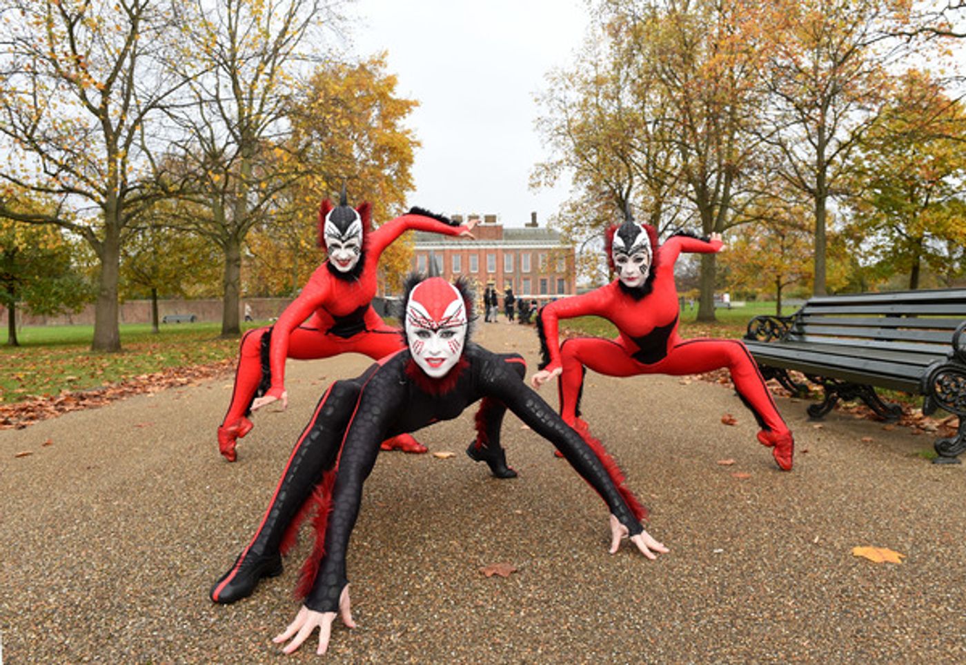Photo Flash: The Cast of CIRQUE DU SOLEIL OVO Takes London! Photo Flash: The Cast of CIRQUE DU SOLEIL OVO Takes London! Image