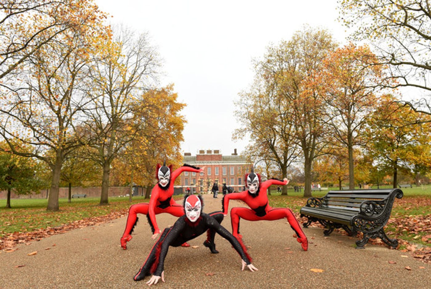 Photo Flash: The Cast of CIRQUE DU SOLEIL OVO Takes London! Photo Flash: The Cast of CIRQUE DU SOLEIL OVO Takes London! Image