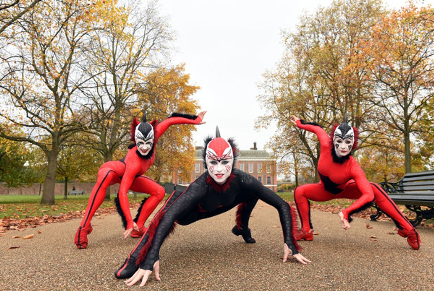 Photo Flash: The Cast of CIRQUE DU SOLEIL OVO Takes London! Photo Flash: The Cast of CIRQUE DU SOLEIL OVO Takes London! Image