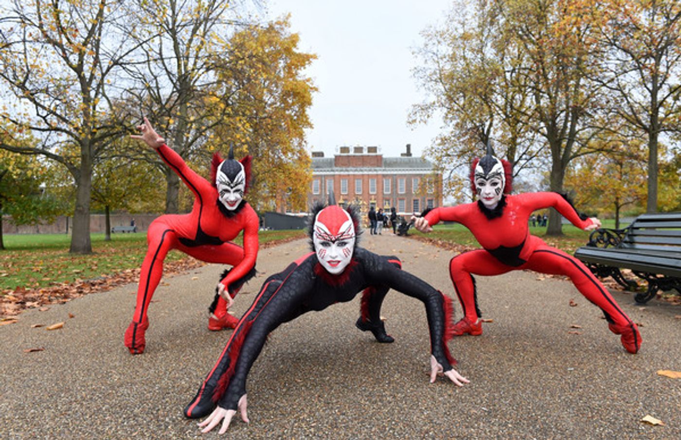 Photo Flash: The Cast of CIRQUE DU SOLEIL OVO Takes London! Photo Flash: The Cast of CIRQUE DU SOLEIL OVO Takes London! Image