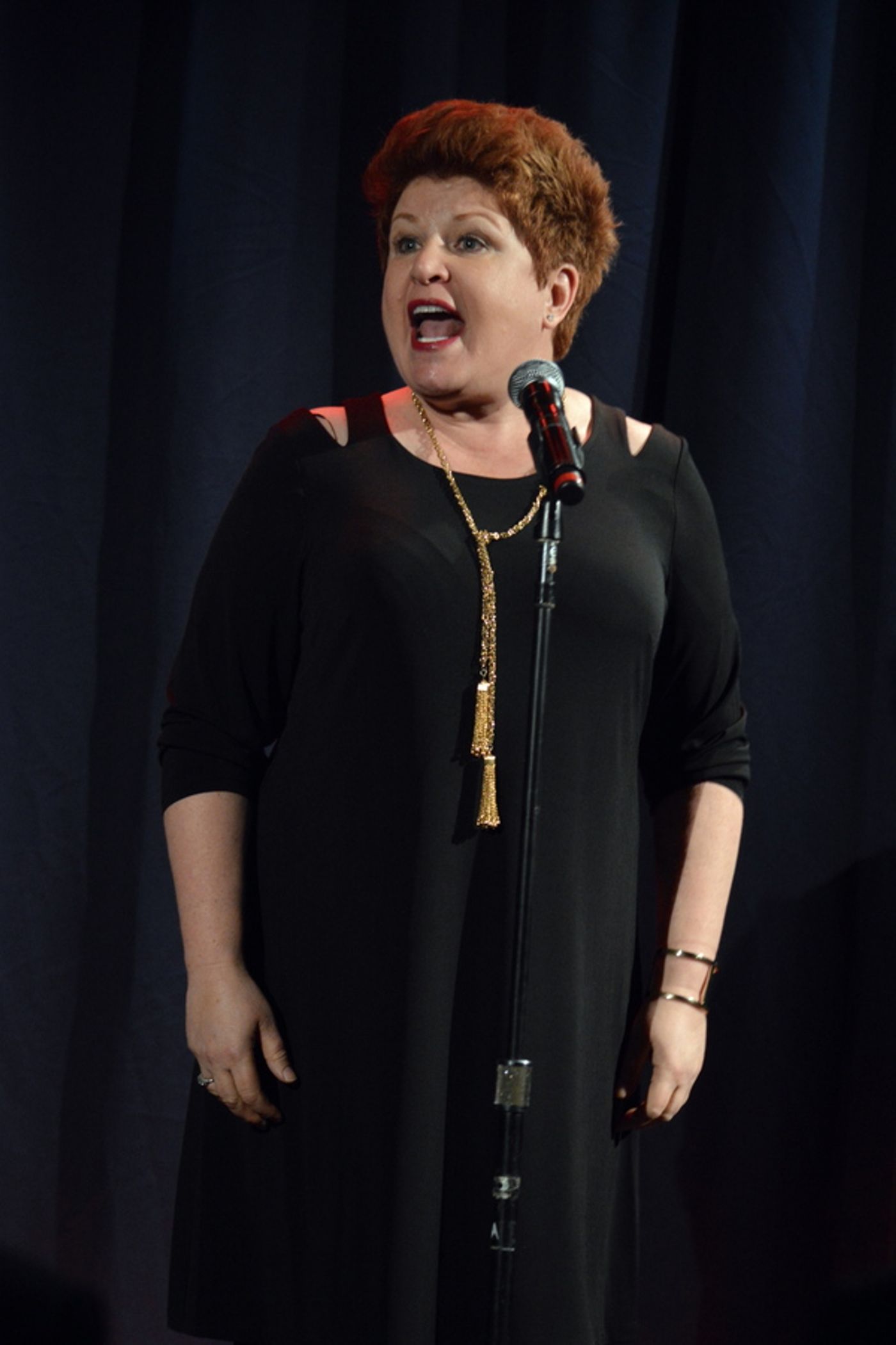 Photo Flash: Sheldon Harnick, James Snyder, Klea Blackhurst and More Celebrate Christine Ebersole at Encompass New Opera Theatre Gala  Image