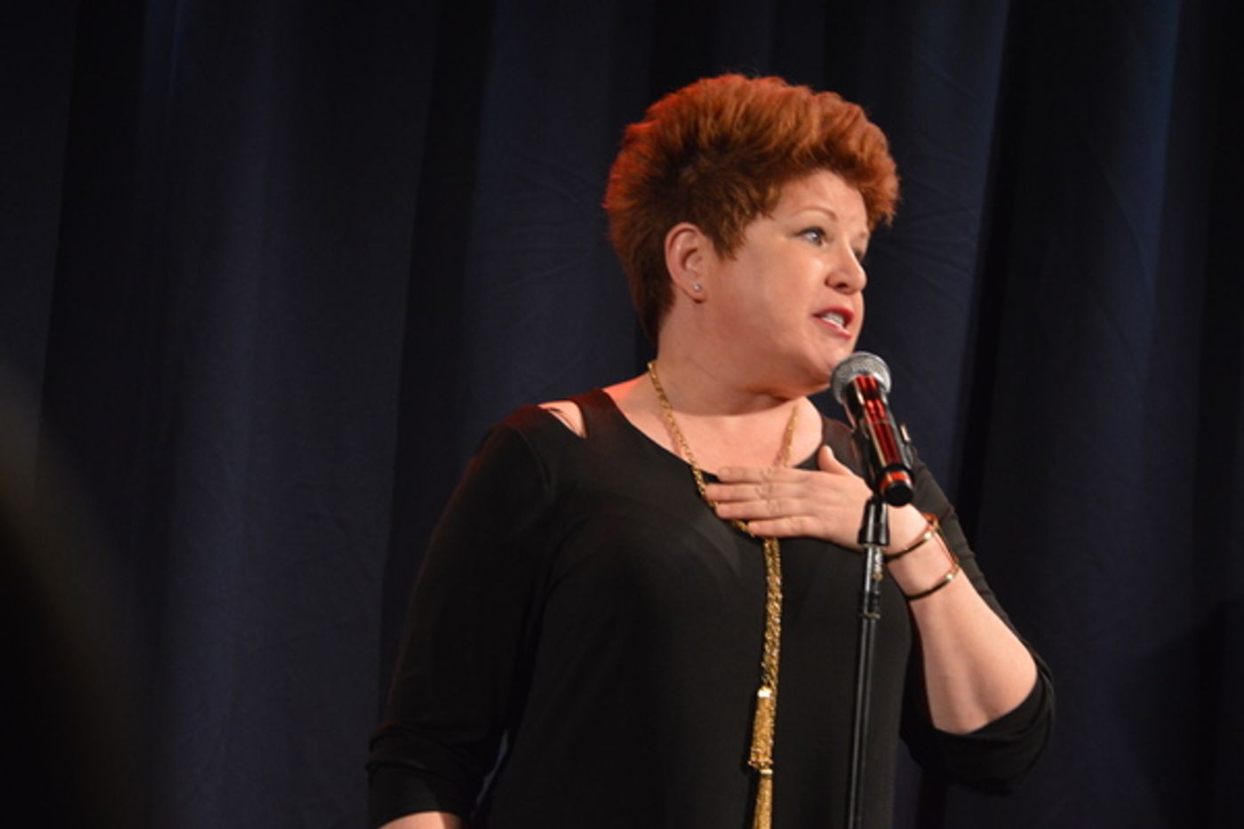 Photo Flash: Sheldon Harnick, James Snyder, Klea Blackhurst and More Celebrate Christine Ebersole at Encompass New Opera Theatre Gala  Image
