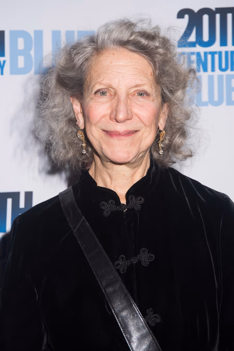 Photo Flash: Beth Dixon, Polly Draper, Mandy Patinkin, Tony Shalhoub and More Celebrate 20TH CENTURY BLUES Opening Off-Broadway Image