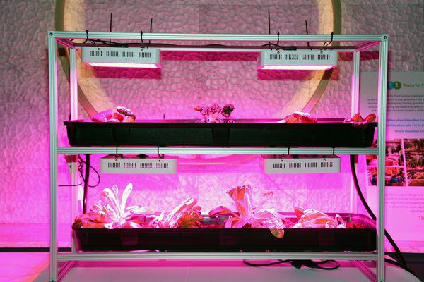 Adam Westerbrook, Kaily Smith Westerbrook Photo