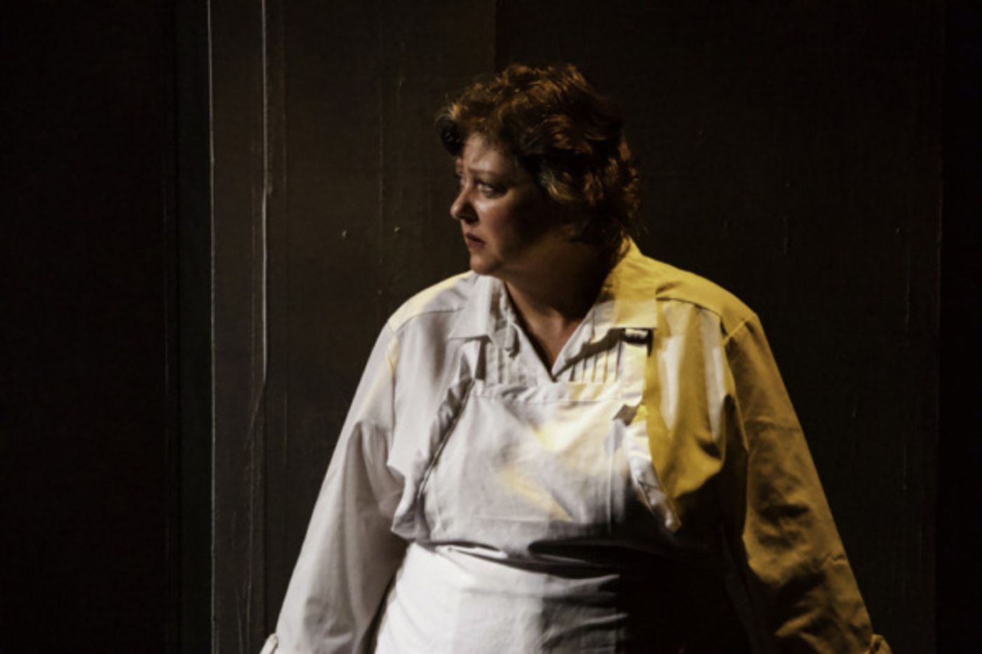 Photo Flash: First Look at FLOWERS FOR ALGERNON at Manatee Performing Arts Center  Image