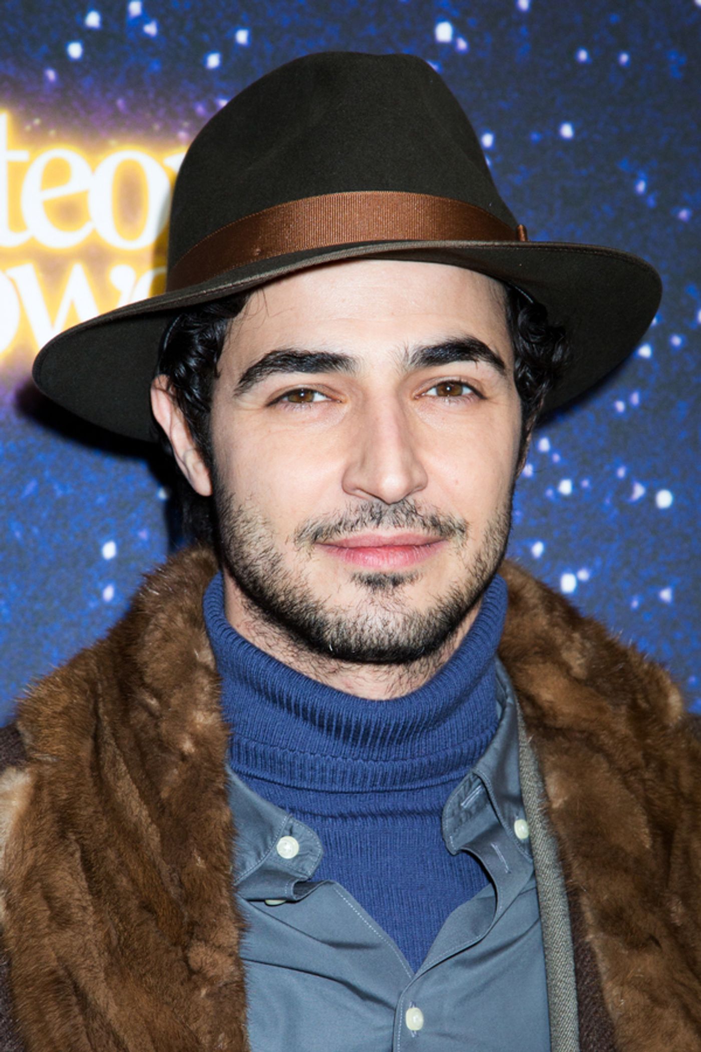 Photo Coverage: On the Star-Studded Red Carpet for METEOR SHOWER!  Image