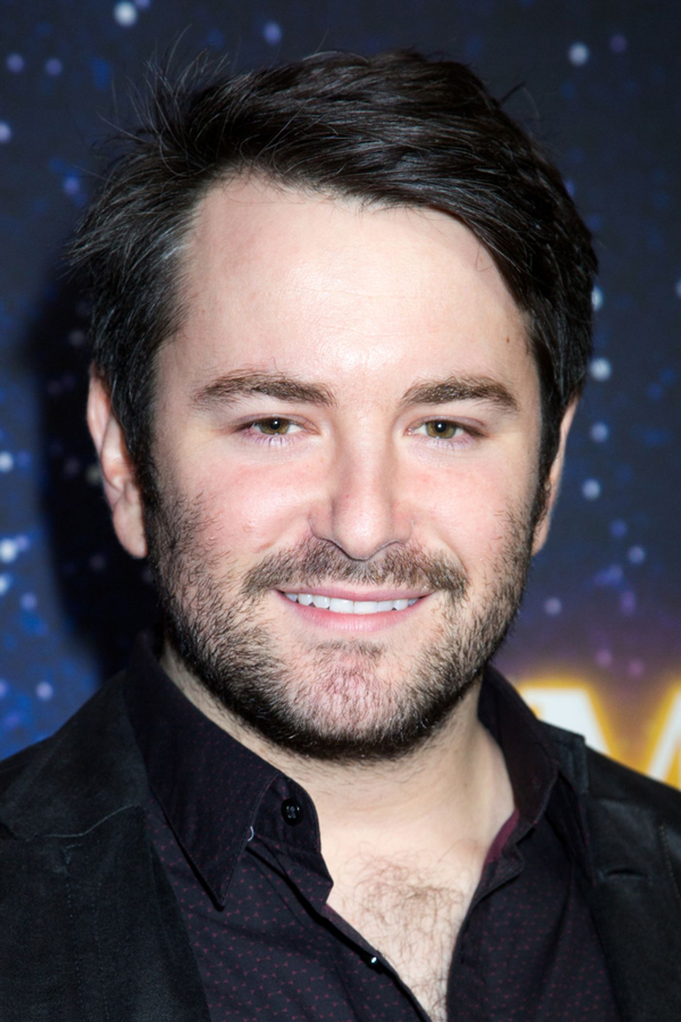 Photo Coverage: On the Star-Studded Red Carpet for METEOR SHOWER!  Image