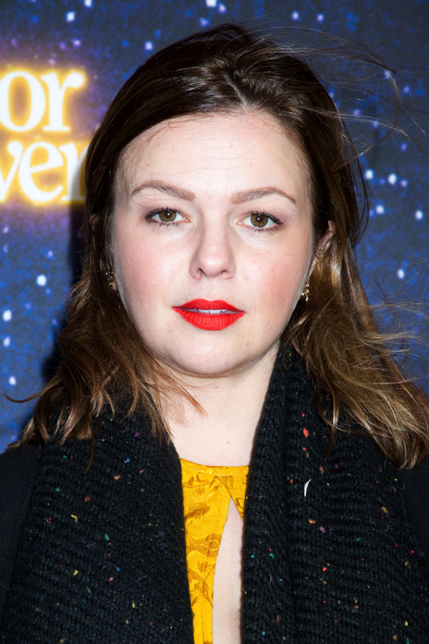 Photo Coverage: On the Star-Studded Red Carpet for METEOR SHOWER!  Image