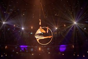 Lea Hinz on aerial hoop Photo