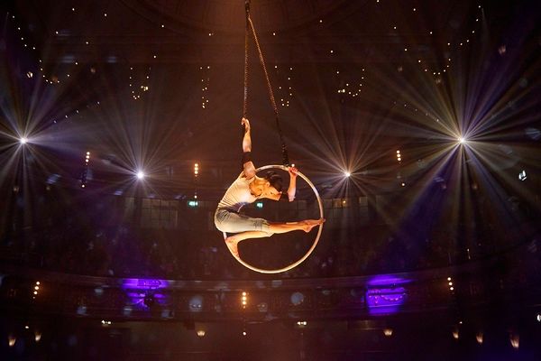 Lea Hinz on aerial hoop Photo